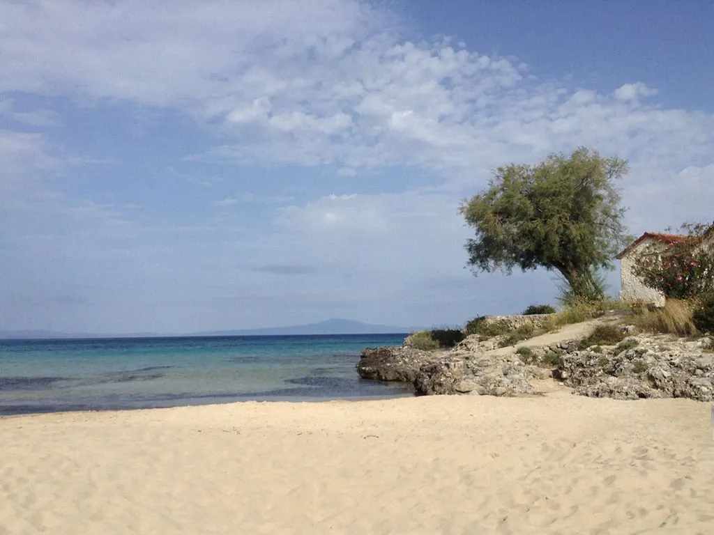 Παραλία Καλογριά