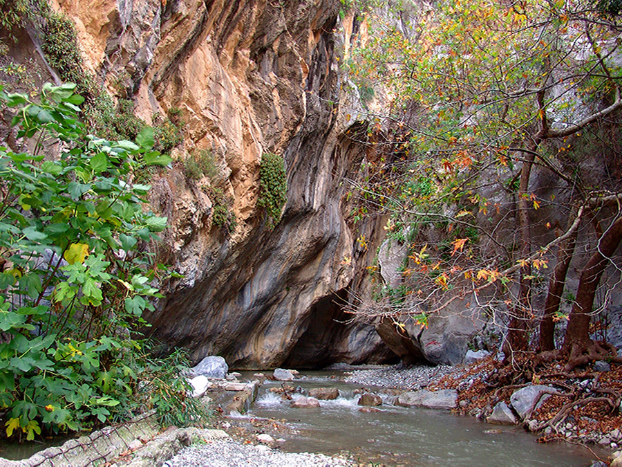 Φαράγγι Σαρακίνας
