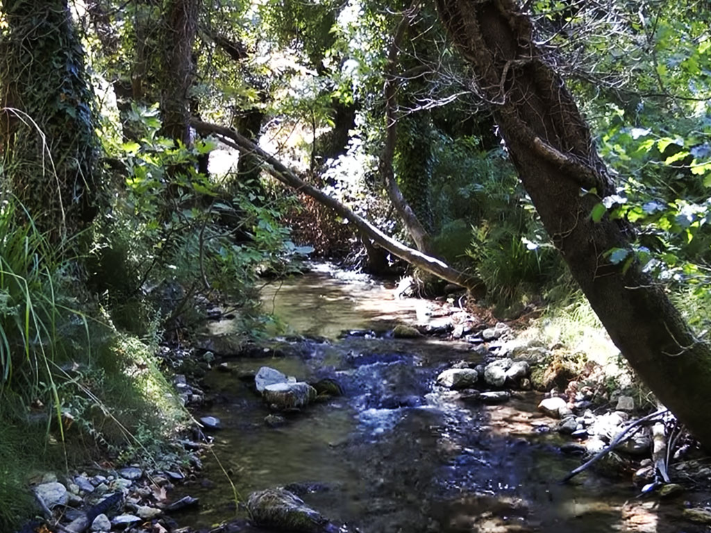 Φαράγγι Κάστορα