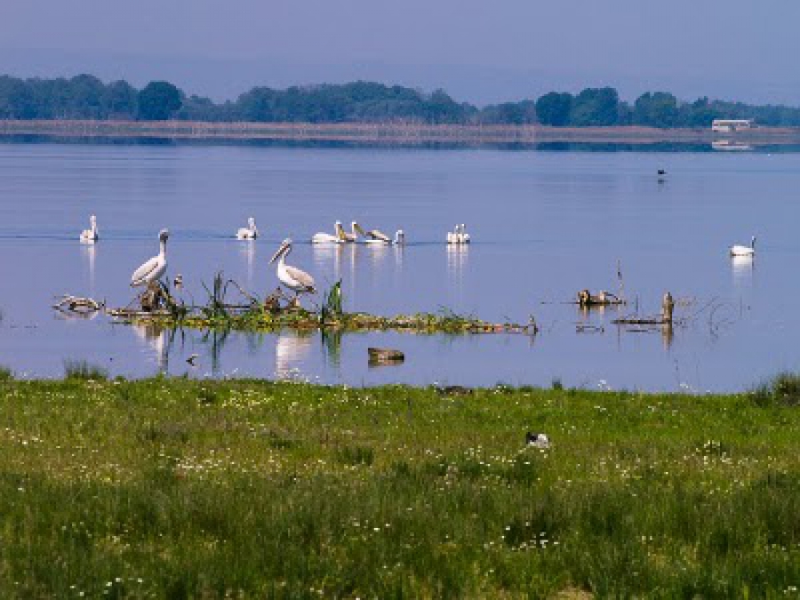 Lake Volvi