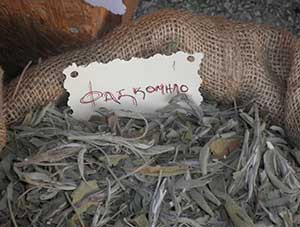 Φασκόμηλο Σύμης