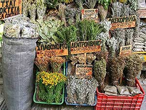  Βότανα Ιθάκης