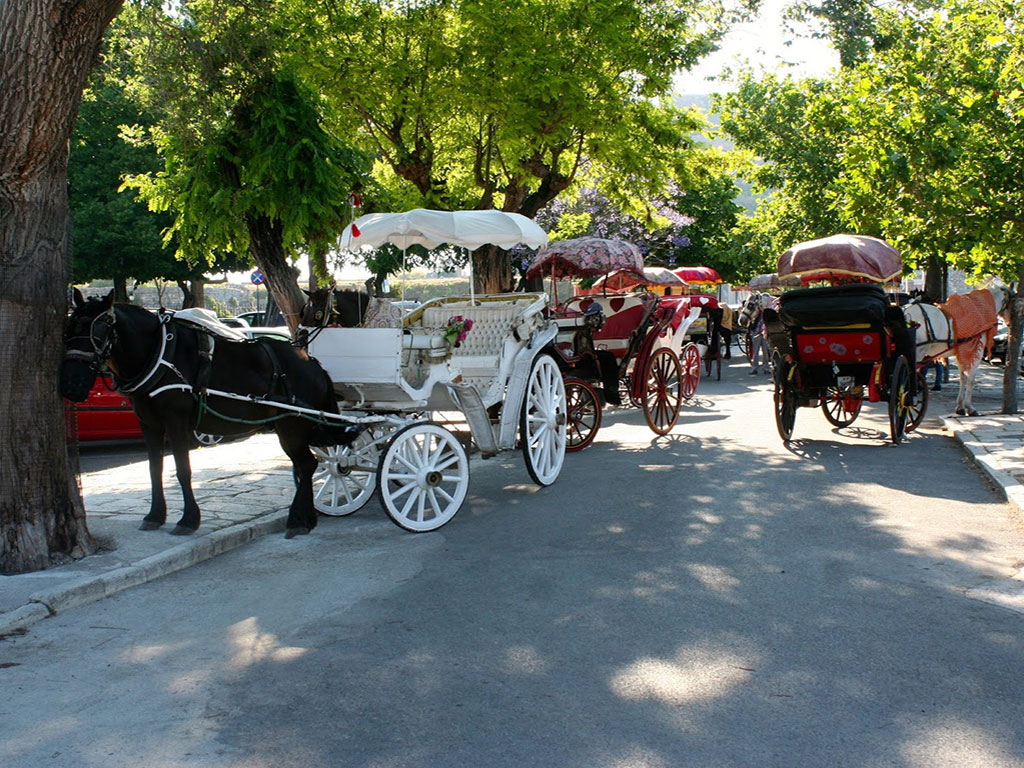 The Horse-Carriages of Corfu