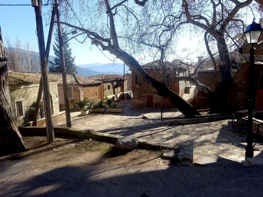 Charmaína Quarter Amfissa