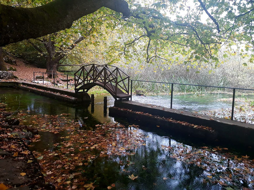 Πηγές Βοιωτικού Κηφισού (Αγίας Ελεούσας)